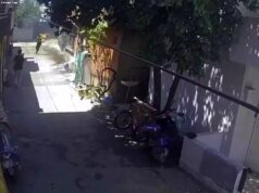 Yeğenini diri diri böyle yaktı