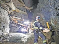 ÇED süreci ve zeytinliklere ince ayar geliyor