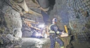 ÇED süreci ve zeytinliklere ince ayar geliyor