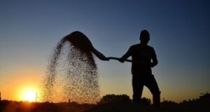 TZOB Başkanı Bayraktar: Kuraklıktan zarar gören çiftçilerin borçları faizsiz 1 yıl ertelensin