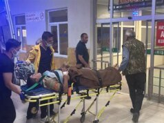 Arazi anlaşmazlığı cinayetle bitti! Eski muhtar kardeşini öldürdü, iki kişiyi yaraladı