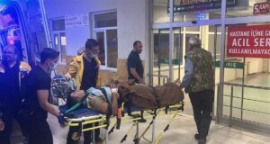 Arazi anlaşmazlığı cinayetle bitti! Eski muhtar kardeşini öldürdü, iki kişiyi yaraladı