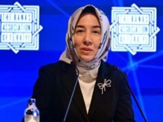 TCMB Başkan Yardımcısı Karahan: Merkez bankaları ile sınır ötesi ödemeler konusunda çalışıyoruz