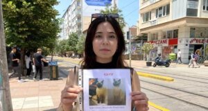 Kayıp Kedi İçin Sokak Sokak Geziyor