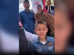 Bakan Yumaklı, yaralı tay “Nazlı” için yapılan yardım çağrısını karşılıksız bırakmadı