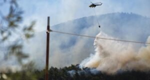 Bakan Yumaklı: 3 günde 263 yangına müdahale edildi