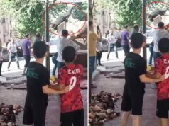 Kızgın boğa kasaba hayatının kabusunu yaşattı