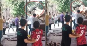 Kızgın boğa kasaba hayatının kabusunu yaşattı