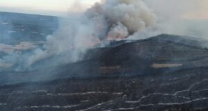 Çıkan orman yangınlarının sorumlularıyla ilgili çok titiz çalışma yapılıyor