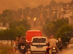 İzmir’de orman yangını: Havadan ve karadan müdahale ediliyor