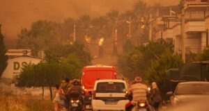 İzmir’de orman yangını: Havadan ve karadan müdahale ediliyor