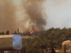 Hatay’da çok ciddi rüzgar var