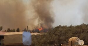 Hatay’da çok ciddi rüzgar var