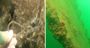 Sapanca Gölü’ne düşen uçağın enkazı 53 yıl sonra yeniden görüntülendi