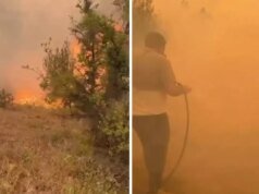 Türkiye yangınlarla boğuşuyor! Gelen görüntüler yürek burktu