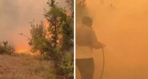 Türkiye yangınlarla boğuşuyor! Gelen görüntüler yürek burktu