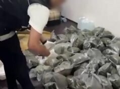 3 ilde 397,5 kilo uyuşturucu ele geçirildi
