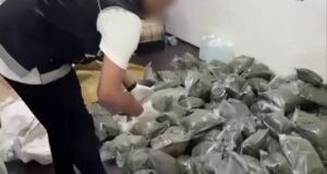 3 ilde 397,5 kilo uyuşturucu ele geçirildi
