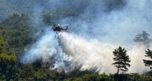 5 ilde orman yangını – Son Dakika Haberleri