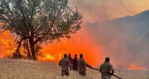 Yangın riski yüksek olan bölgelerde ‘Risk Yönetim Ekibi’ oluşturuldu