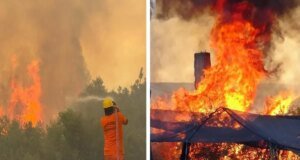 Antalya kabusu yaşıyor! Sıcaklık rekoru kırıldı, 6 noktada orman yangını çıktı