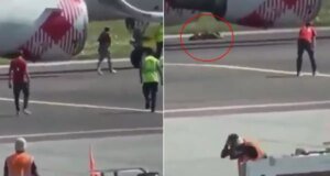 Apronda dehşet! Koşarak uçağın motorunun içine atladı