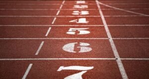 Milli atletlerden Romanya’da 15 madalya