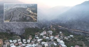 Bursa’daki orman yangınında son durum! Tahribat gün ağarınca ortaya çıktı