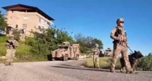 Diyarbakır’da 4 milyon 459 bin kök kenevir ve skunk ele geçirildi