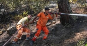 Birçok kentten gelen orman işçileri İzmir’deki yangınlar için seferber oldu