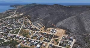 Yangınlardan etkilenenlere 21,6 milyon TL ödeme yapıldı