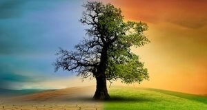 Bakanlık tek tek anlattı: İşte 14 soruda İklim Kanunu