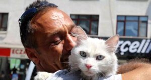 Gölcük’te Kayıp Kedi Sevgi ile Bulundu
