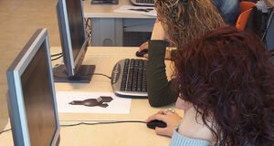 Sözleşmeli devlet çalışanı yarı zamanlı çalışmadan faydalanabiliyor mu? Sözleşmeliler yarı zamanlı çalışmadan faydalanacak mı?