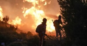 Bakan Yumaklı’dan orman yangınlarına karşı uyarı