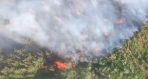 Sağlık Bakanlığı uyardı: Yangın dumanı ciddi risk taşıyor