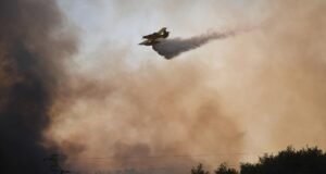 5 ilde orman yangınları devam ediyor