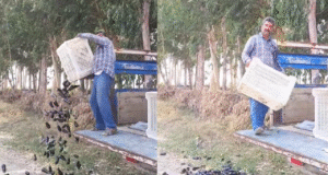 Ticaret Bakan Yardımcısı Mahmut Gürcan açıkladı: Patlıcanlarını yere döken vatandaşa 17,2 milyon TL’ye kadar ceza!