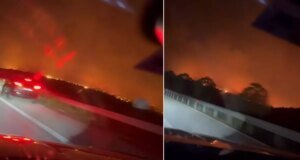 Şarkıcı Yaşar İpek, Çeşme’deki yangında alevlerin ortasında kaldı