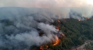 6 ilde 7 yangın tamamen kontrol altında