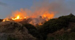 Kene gördüğü yastığı yakıp bahçeye attı, 17 futbol sahası büyüklüğünde alan kül oldu