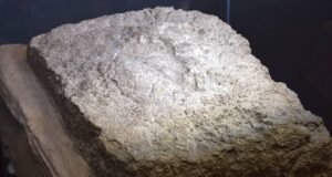 Urartulara ait kadın ayak izi Van Müzesi’nde ilk kez sergileniyor