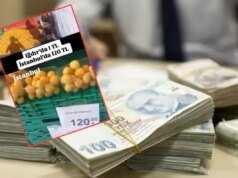 Yalanı ortaya çıktı, cezadan kurtulamadı! CHP’li eski adaya kötü haber