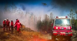 Yangınlara 2 dakikada tespit, 11 dakikada ilk müdahale