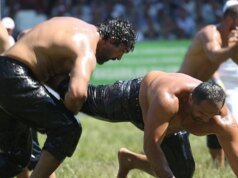 Yeşil Yeşil’den erken veda – Son Dakika Spor Haberleri