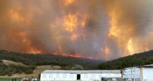 Bursa’da orman yangını: Alevler yerleşim birimlerine ilerledi, bölgeden anonslar yükseldi