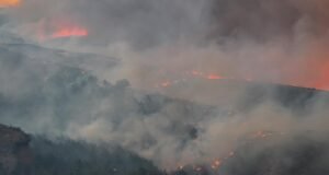 Çanakkale Gelibolu’da orman yangını 2. gününde
