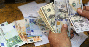 Reel efektif döviz kuru temmuzda geriledi