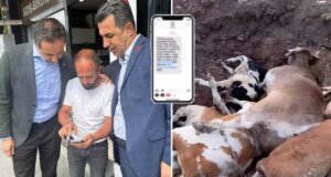 CHP’li Özgür Erdem İncesu’dan bomba iddia: Yapılmayan şap aşısının parasını istiyorlar