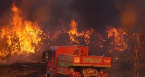 Ciğerlerimiz alev alev! 4 şehrimizde orman yangını